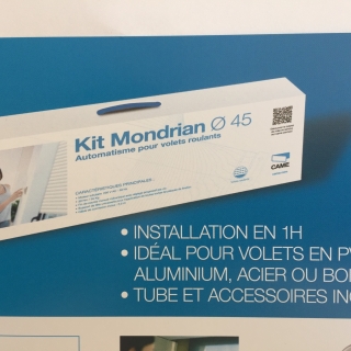 CAME Kit Axe motoris filaire Mondrian - Motorisation de volet roulant 30N 230V jusqu 53Kg. Filaire