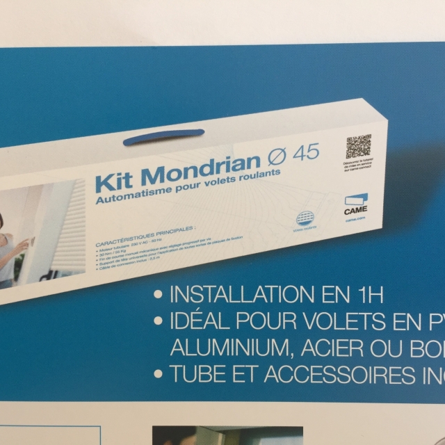 CAME Kit Axe motoris filaire Mondrian - Motorisation de volet roulant 30N 230V jusqu 53Kg. Filaire 1